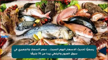 رسميًا تحديث الأسعار اليوم السبت.. سعر السمك والجمبري في سوق العبور والبلطي يبدأ من 70 جنيهًا